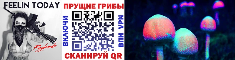 Галлюциногенные грибы мухоморы  продажа наркотиков  Ливны 